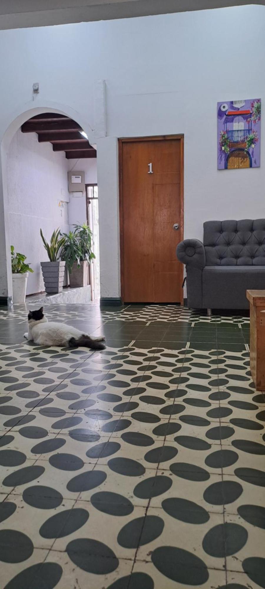 Hostal Casa Lara Cartagena Exteriér fotografie